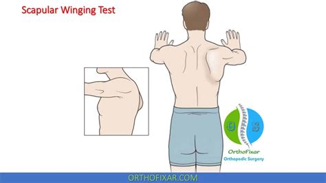 lateral scapular winging testing